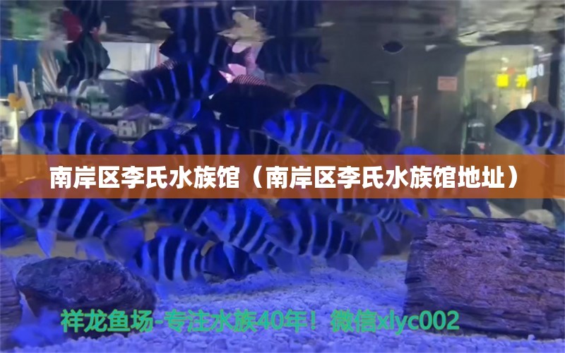 南岸区李氏水族馆（南岸区李氏水族馆地址） 全国水族馆企业名录