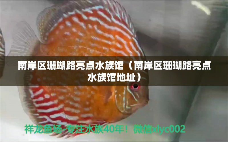 南岸区珊瑚路亮点水族馆（南岸区珊瑚路亮点水族馆地址）