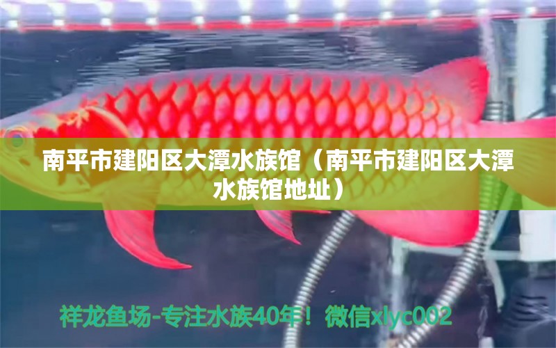 南平市建阳区大潭水族馆（南平市建阳区大潭水族馆地址） 全国水族馆企业名录