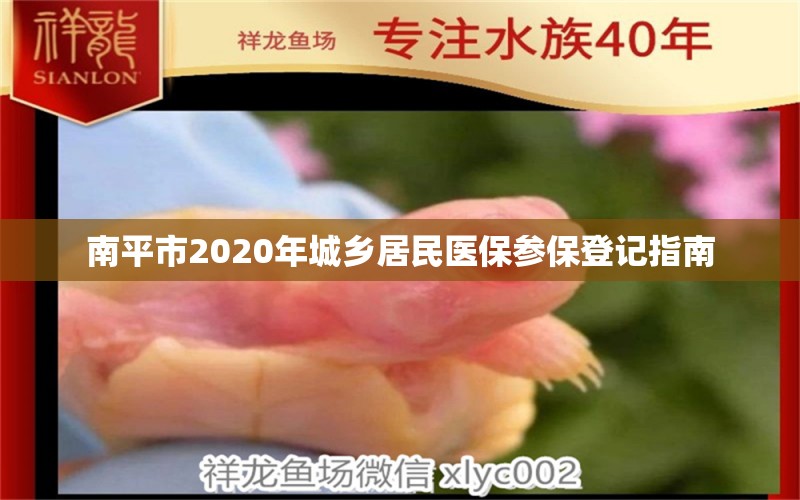 南平市2020年城乡居民医保参保登记指南