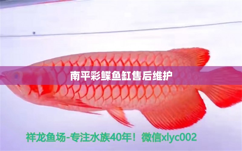 南平彩鲽鱼缸售后维护 彩鲽鱼缸（彩蝶鱼缸）