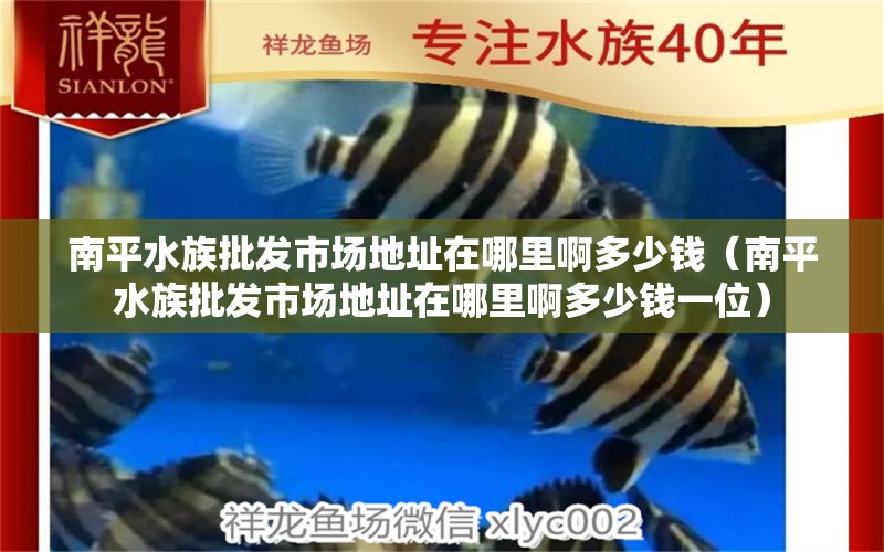 南平水族批发市场地址在哪里啊多少钱（南平水族批发市场地址在哪里啊多少钱一位） 观赏鱼水族批发市场