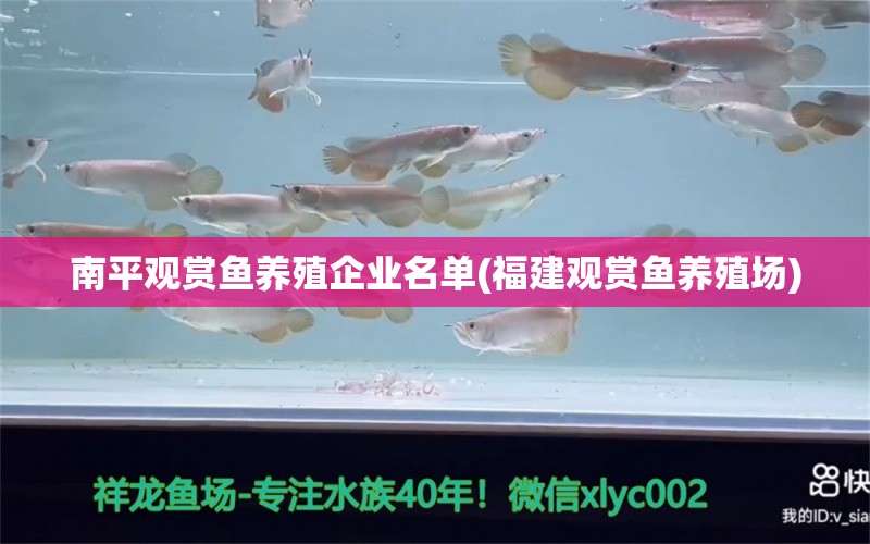 南平观赏鱼养殖企业名单(福建观赏鱼养殖场) 水族维护服务（上门）