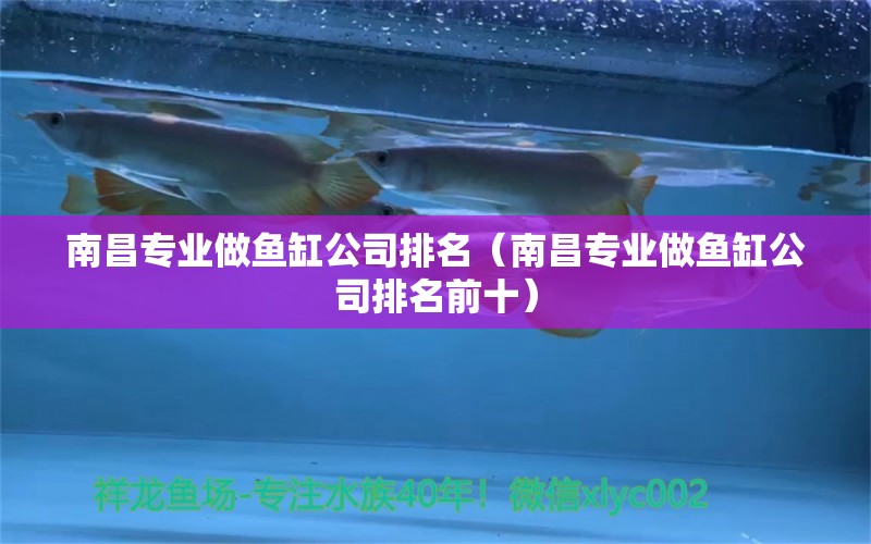 南昌专业做鱼缸公司排名（南昌专业做鱼缸公司排名前十）