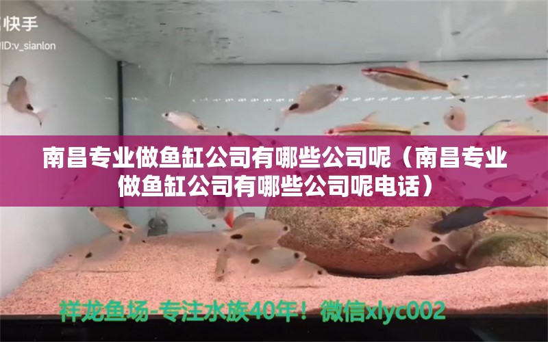 南昌专业做鱼缸公司有哪些公司呢（南昌专业做鱼缸公司有哪些公司呢电话）