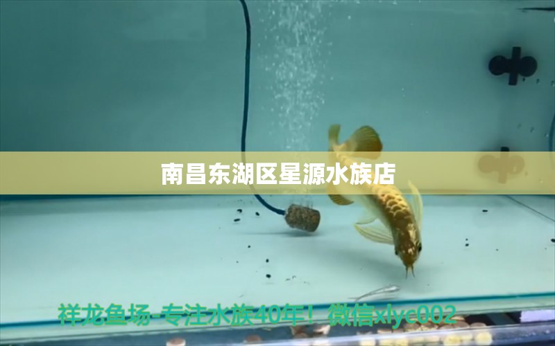 南昌东湖区星源水族店 全国水族馆企业名录