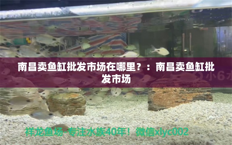 南昌卖鱼缸批发市场在哪里？：南昌卖鱼缸批发市场 鱼缸百科 第2张