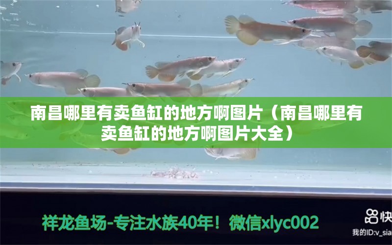 南昌哪里有卖鱼缸的地方啊图片（南昌哪里有卖鱼缸的地方啊图片大全） 祥龙水族医院