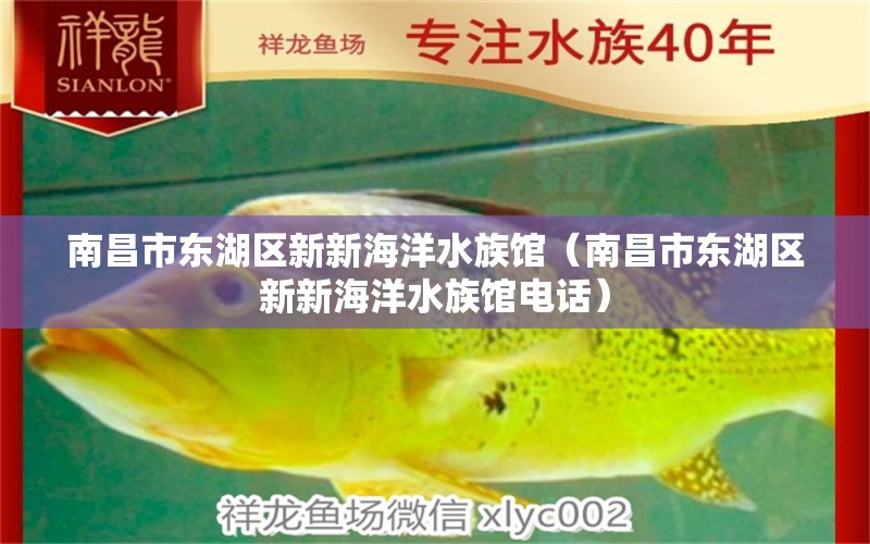 南昌市东湖区新新海洋水族馆（南昌市东湖区新新海洋水族馆电话）