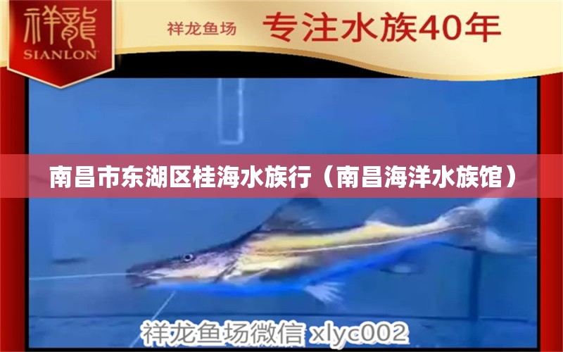 南昌市东湖区桂海水族行（南昌海洋水族馆）