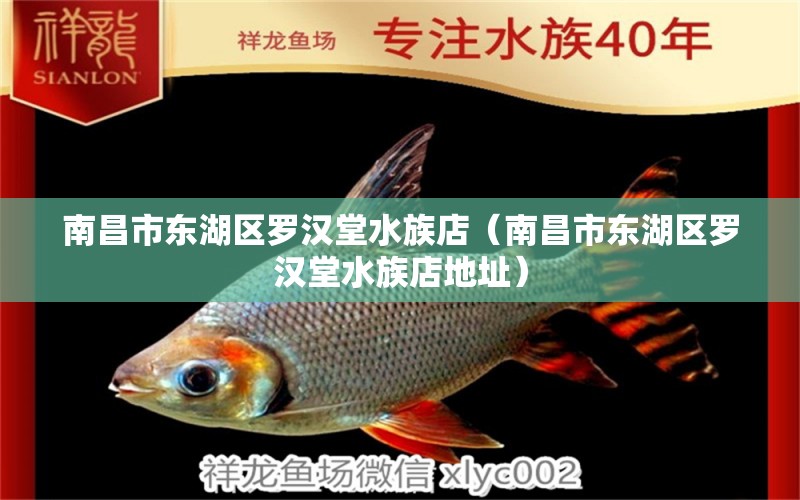 南昌市东湖区罗汉堂水族店（南昌市东湖区罗汉堂水族店地址） 全国水族馆企业名录