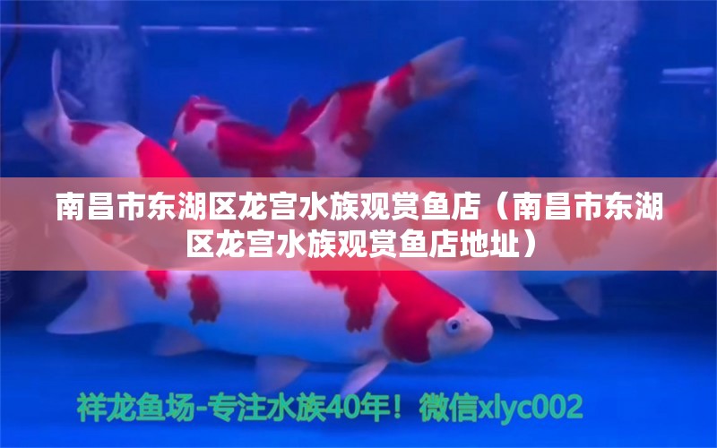 南昌市东湖区龙宫水族观赏鱼店（南昌市东湖区龙宫水族观赏鱼店地址） 全国水族馆企业名录