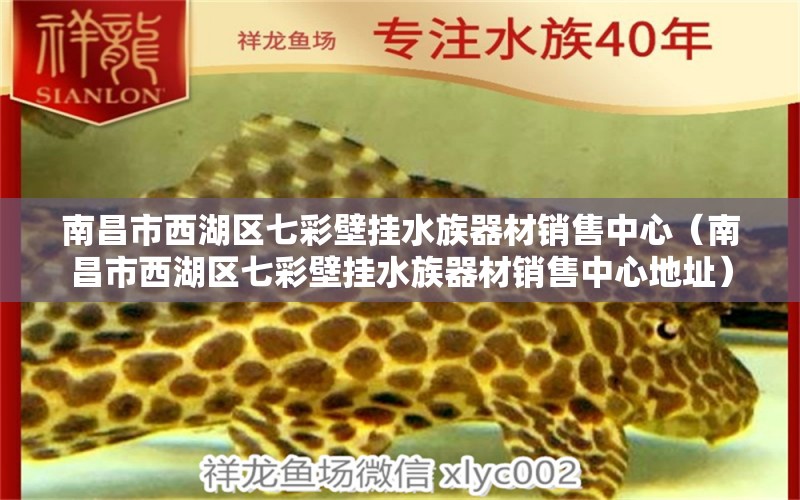 南昌市西湖区七彩壁挂水族器材销售中心（南昌市西湖区七彩壁挂水族器材销售中心地址）