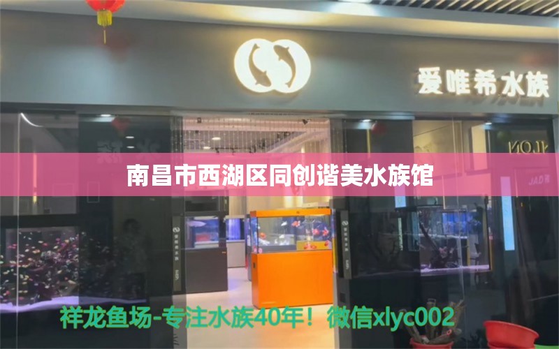 南昌市西湖区同创谐美水族馆 全国水族馆企业名录