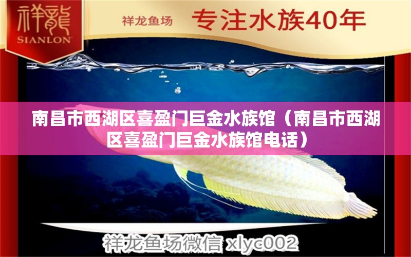 南昌市西湖区喜盈门巨金水族馆（南昌市西湖区喜盈门巨金水族馆电话）