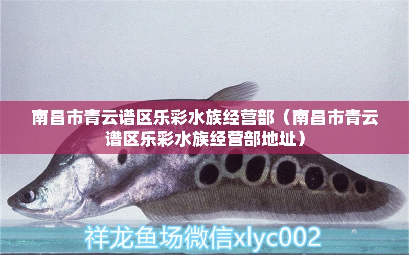 南昌市青云谱区乐彩水族经营部（南昌市青云谱区乐彩水族经营部地址）