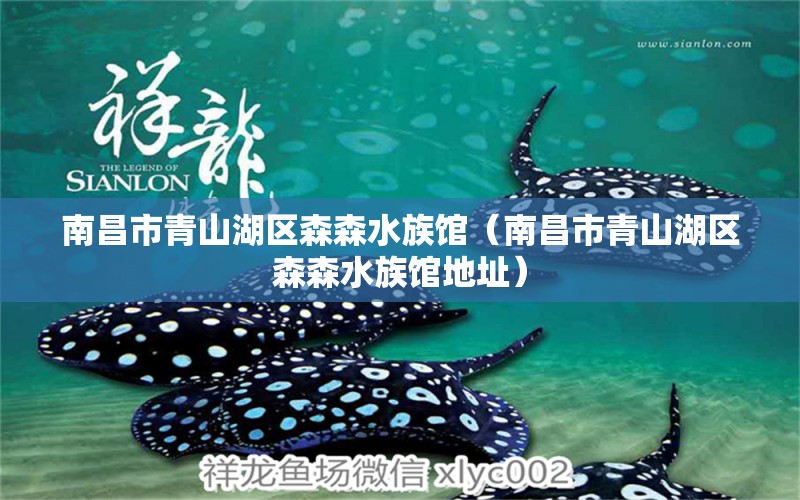 南昌市青山湖区森森水族馆（南昌市青山湖区森森水族馆地址）