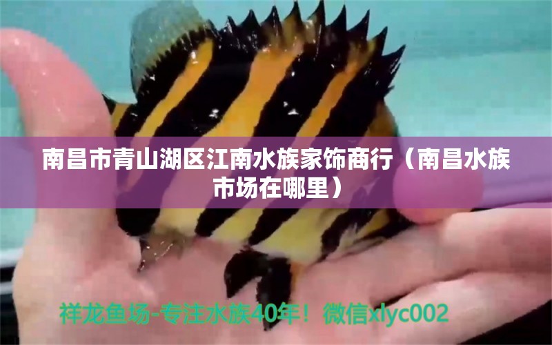 南昌市青山湖区江南水族家饰商行（南昌水族市场在哪里） 全国水族馆企业名录