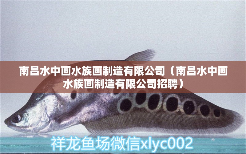 南昌水中画水族画制造有限公司（南昌水中画水族画制造有限公司招聘）