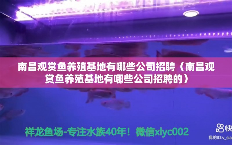 南昌观赏鱼养殖基地有哪些公司招聘（南昌观赏鱼养殖基地有哪些公司招聘的）