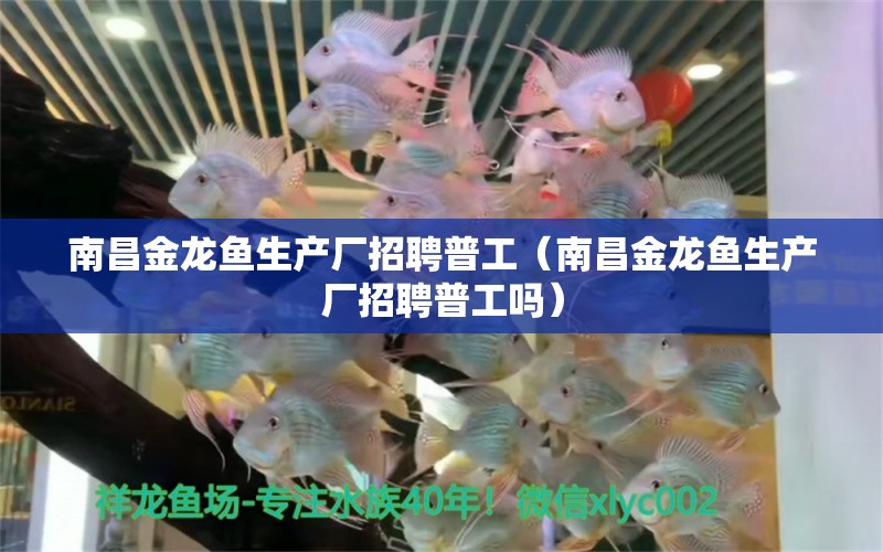 南昌金龙鱼生产厂招聘普工（南昌金龙鱼生产厂招聘普工吗） 祥龙水族医院