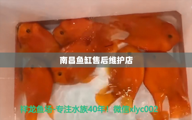 南昌鱼缸售后维护店 其他品牌鱼缸