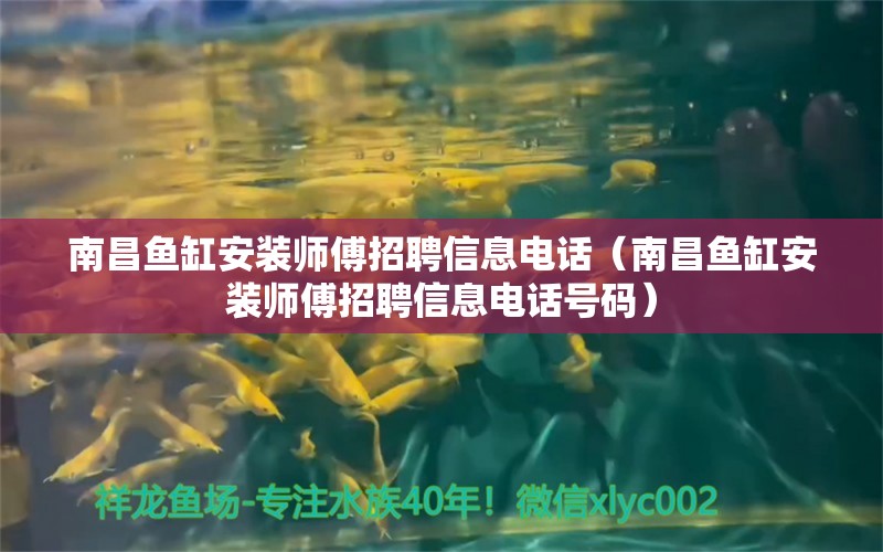 南昌鱼缸安装师傅招聘信息电话（南昌鱼缸安装师傅招聘信息电话号码）