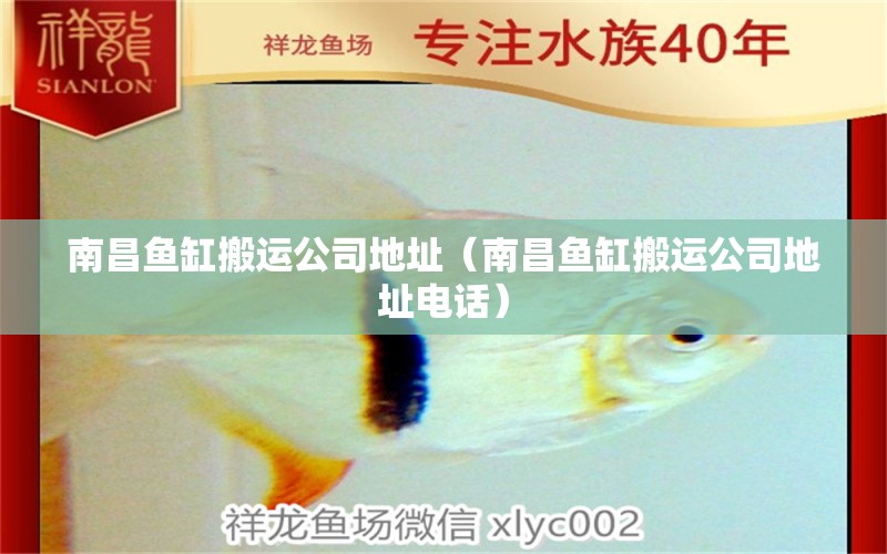 南昌鱼缸搬运公司地址（南昌鱼缸搬运公司地址电话） 祥龙水族医院