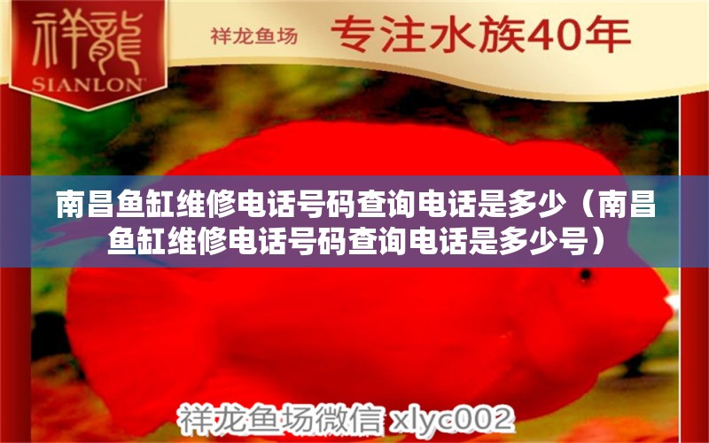 南昌鱼缸维修电话号码查询电话是多少（南昌鱼缸维修电话号码查询电话是多少号）