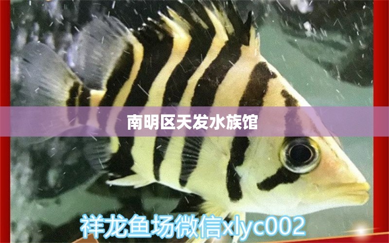 南明区天发水族馆 