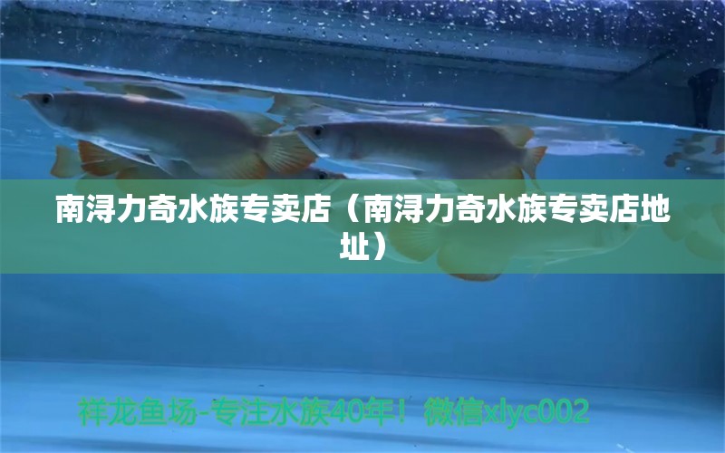 南浔力奇水族专卖店（南浔力奇水族专卖店地址） 全国水族馆企业名录