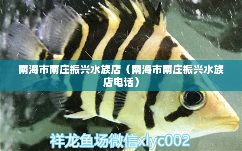 南海市南庄振兴水族店（南海市南庄振兴水族店电话）