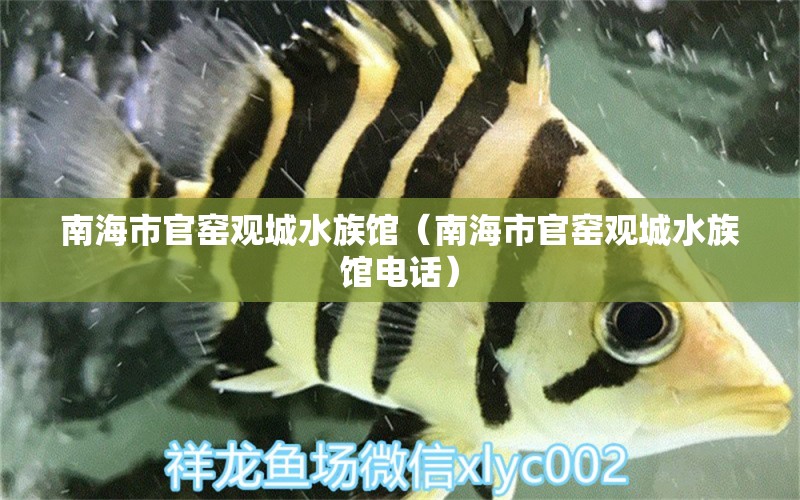 南海市官窑观城水族馆（南海市官窑观城水族馆电话） 全国水族馆企业名录