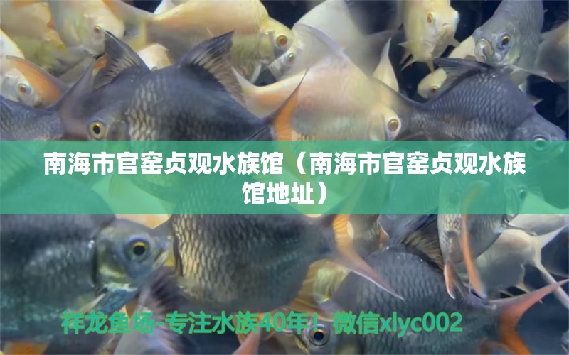 南海市官窑贞观水族馆（南海市官窑贞观水族馆地址）