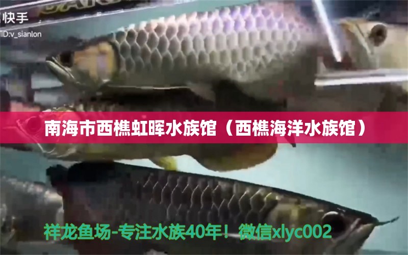 南海市西樵虹晖水族馆（西樵海洋水族馆）