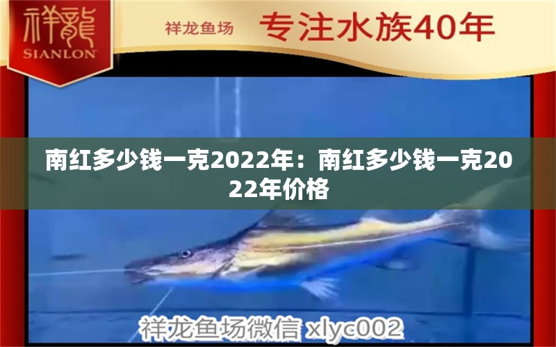 南红多少钱一克2022年：南红多少钱一克2022年价格