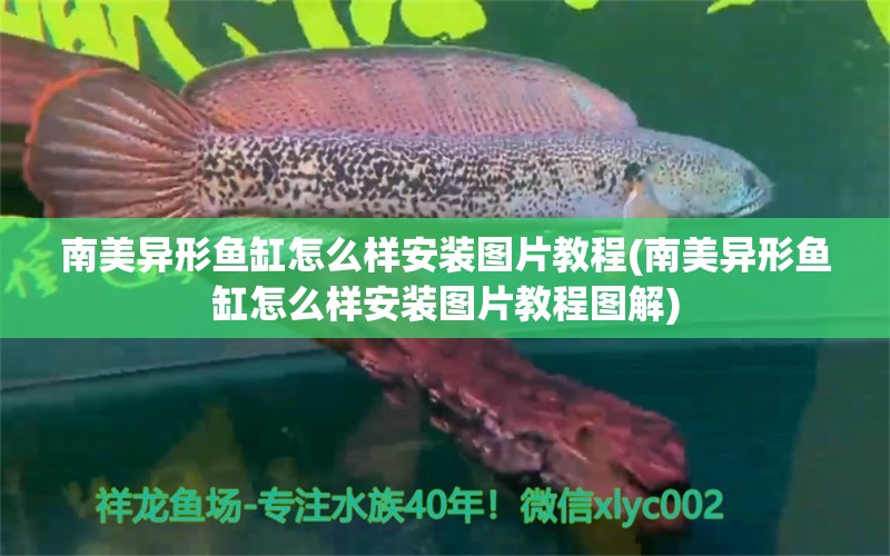 南美异形鱼缸怎么样安装图片教程(南美异形鱼缸怎么样安装图片教程图解) 水族品牌