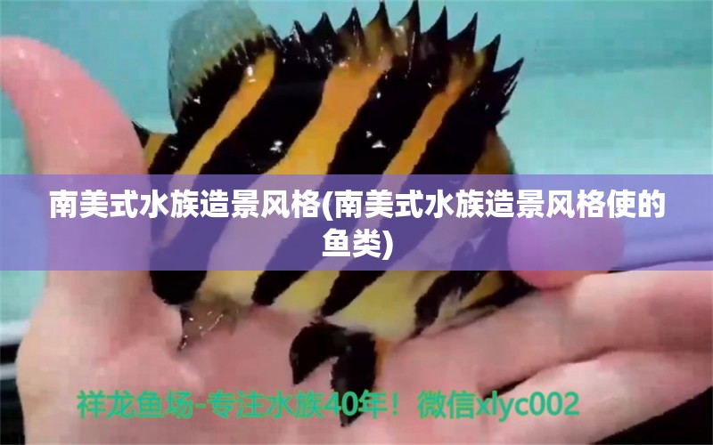 南美式水族造景风格(南美式水族造景风格使的鱼类) 鱼缸水质稳定剂