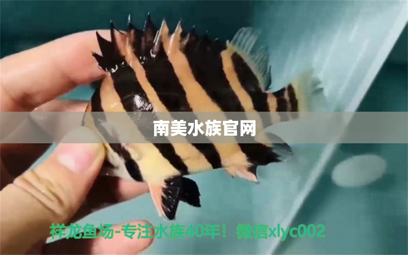 南美水族官网 水族问答 第1张