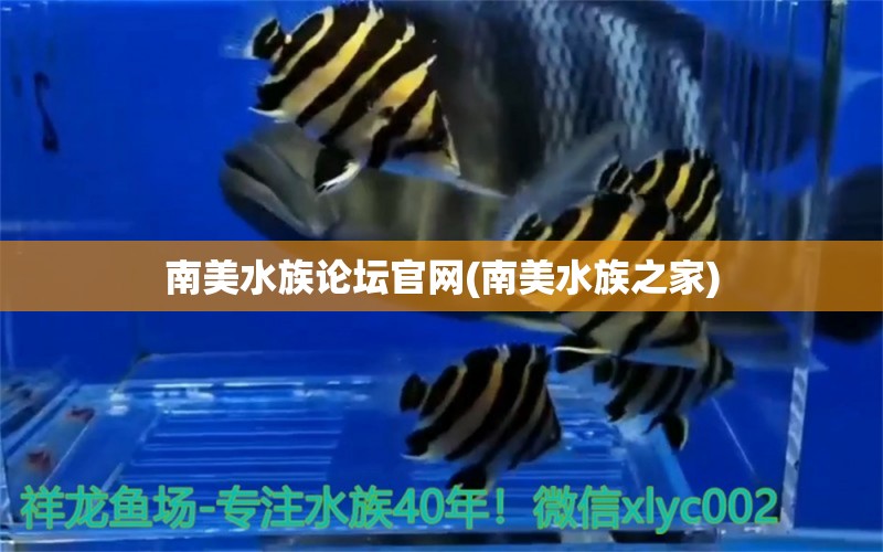 南美水族论坛官网(南美水族之家)