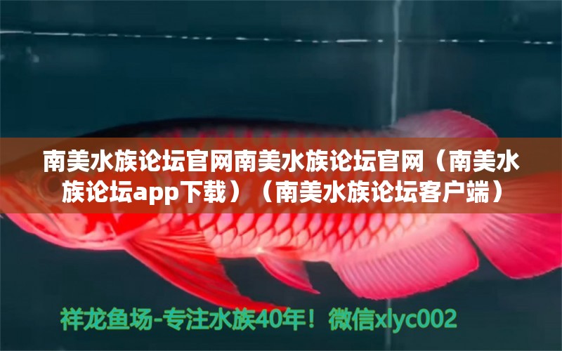 南美水族论坛官网南美水族论坛官网（南美水族论坛app下载）（南美水族论坛客户端） 广州龙鱼批发市场