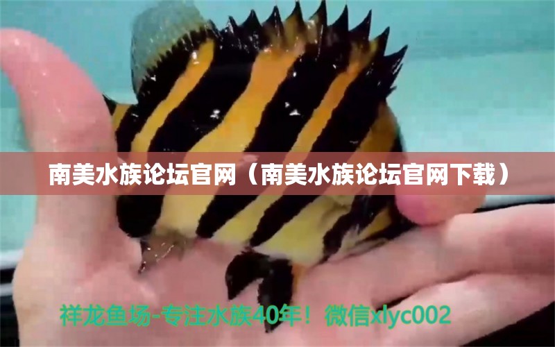 南美水族论坛官网（南美水族论坛官网下载） 量子养鱼技术