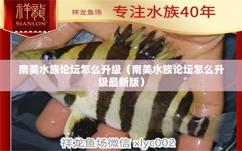 南美水族论坛怎么升级（南美水族论坛怎么升级最新版） 广州观赏鱼批发市场