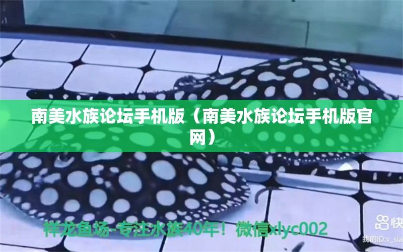 南美水族论坛手机版（南美水族论坛手机版官网） 广州龙鱼批发市场