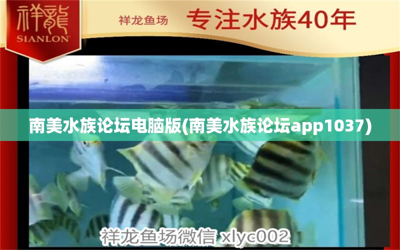 南美水族论坛电脑版(南美水族论坛app1037)