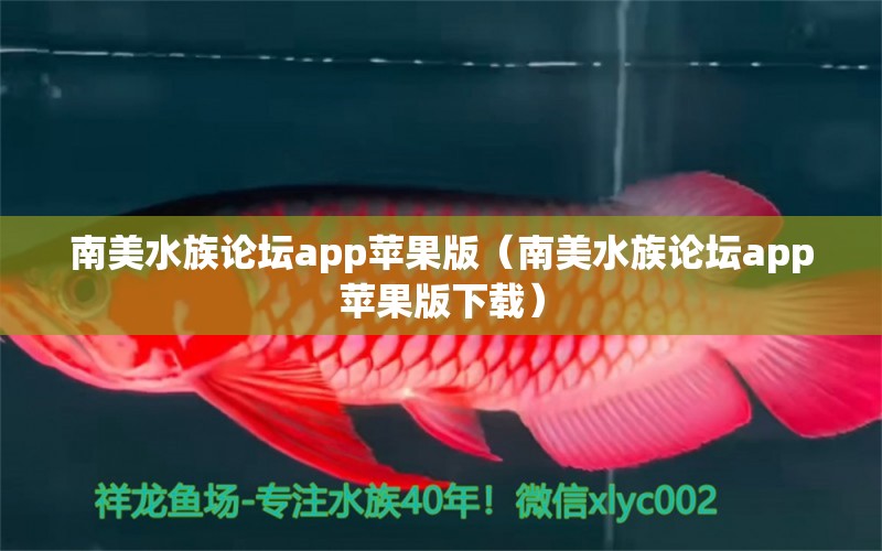 南美水族论坛app苹果版（南美水族论坛app苹果版下载）