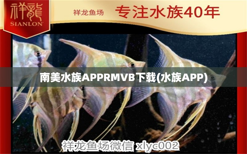 南美水族APPRMVB下载(水族APP) 红头利鱼 第1张