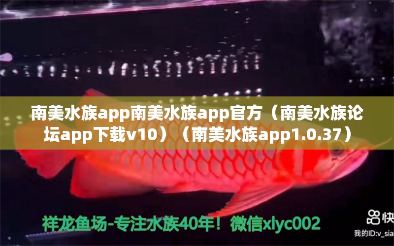 南美水族app南美水族app官方（南美水族论坛app下载v10）（南美水族app1.0.37） 梦幻雷龙鱼