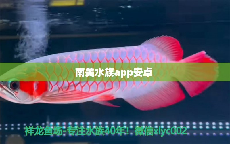 南美水族app安卓 