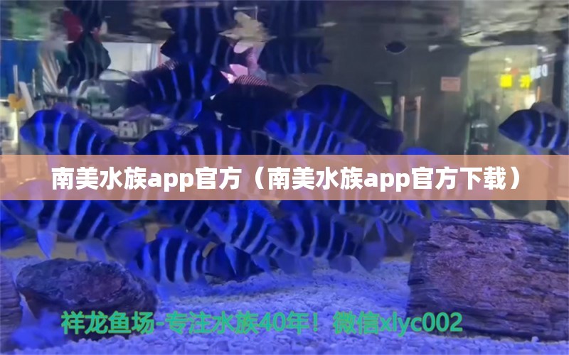 南美水族app官方（南美水族app官方下载）